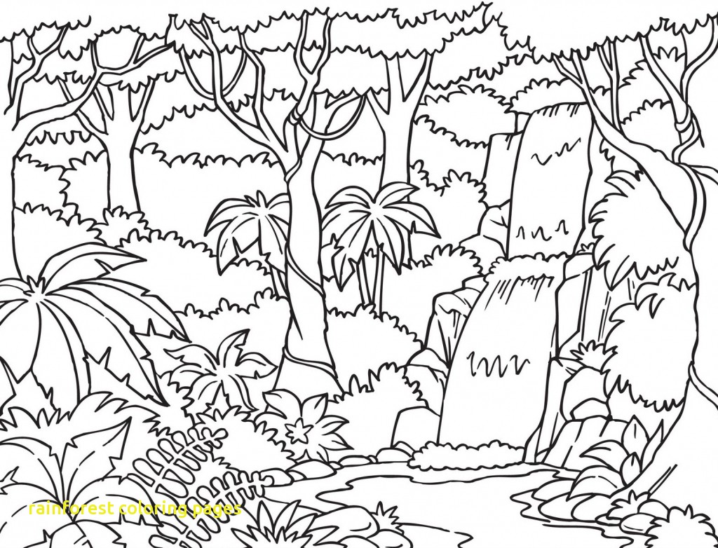 1024x782 Scarce Rainforest Coloring Pages To Print Special Free Printable