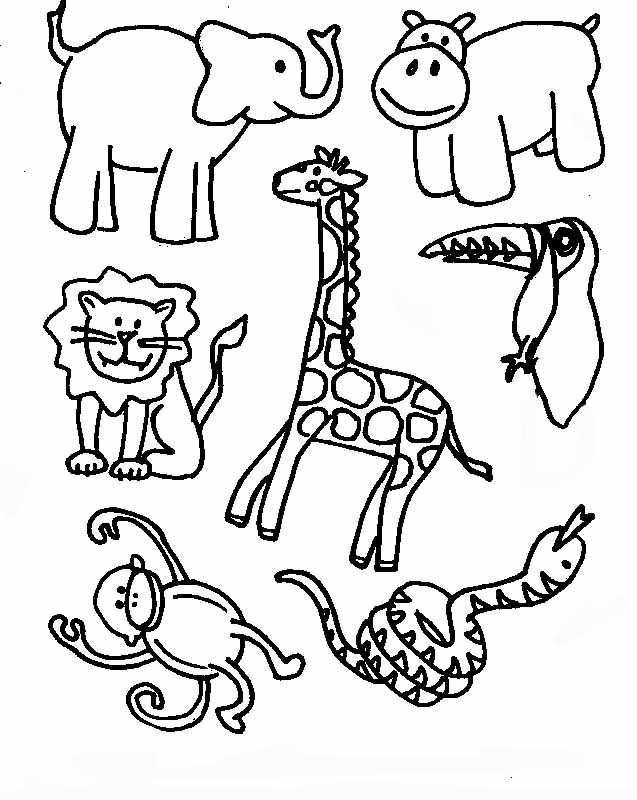 637x800 Tropical Rainforest Coloring Pages Free Printable Coloring