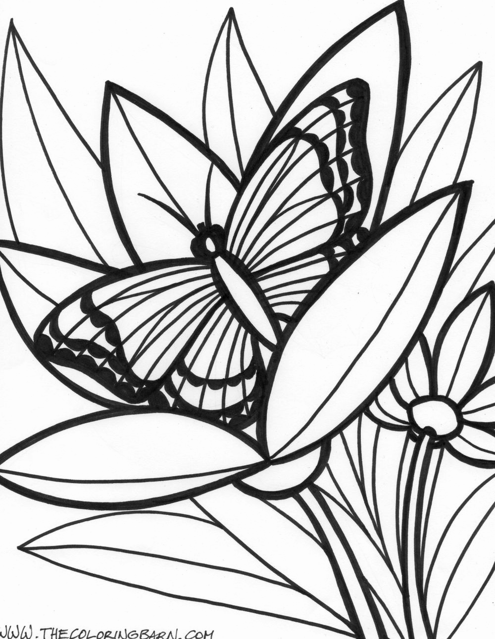 1000x1291 Unusual Tropical Rainforest Coloring Pages Contemporary Free