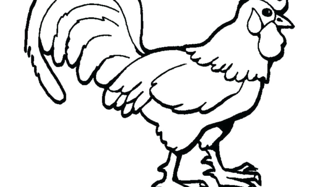 1024x600 Rooster Coloring Page Rooster Coloring Page Free From Com Rooster