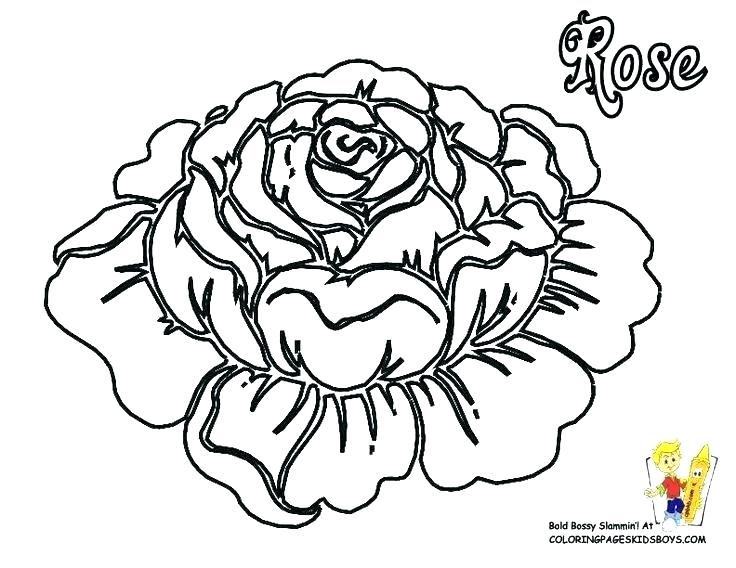 736x568 Free Coloring Pages Of Roses Free Coloring Pages Of Roses Coloring