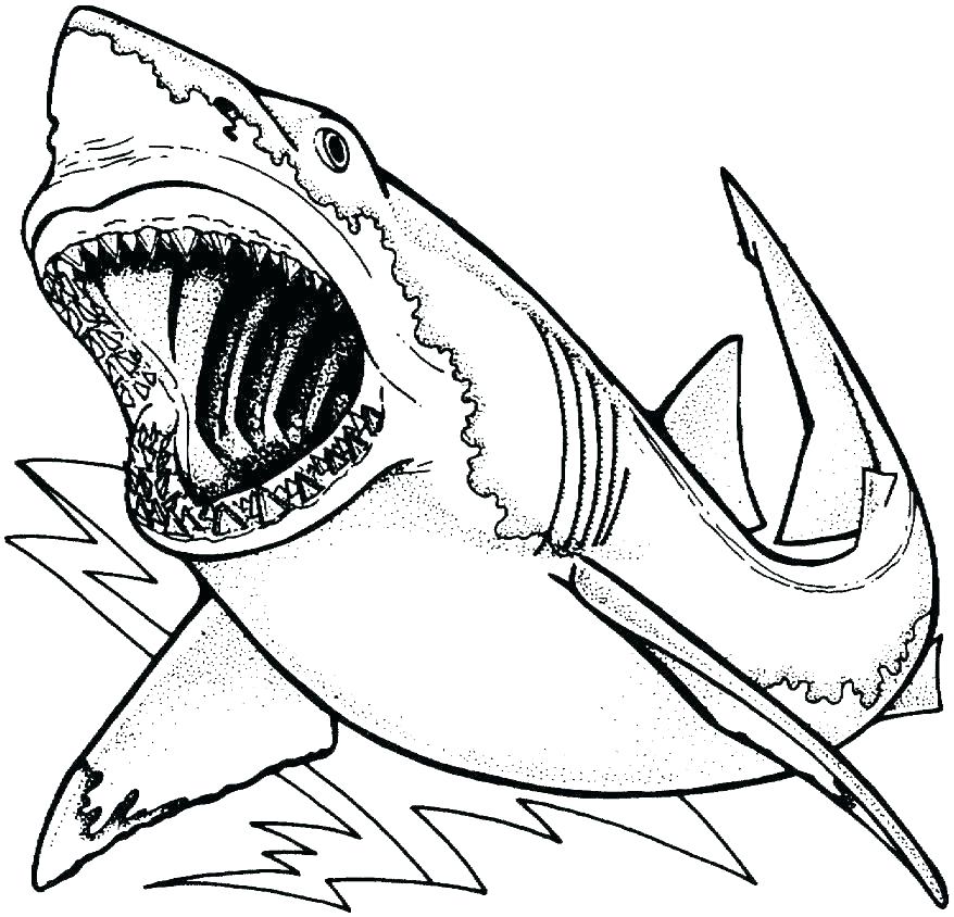 878x844 Shark Tale Coloring Pages Free Shark Coloring Pages Shark Coloring