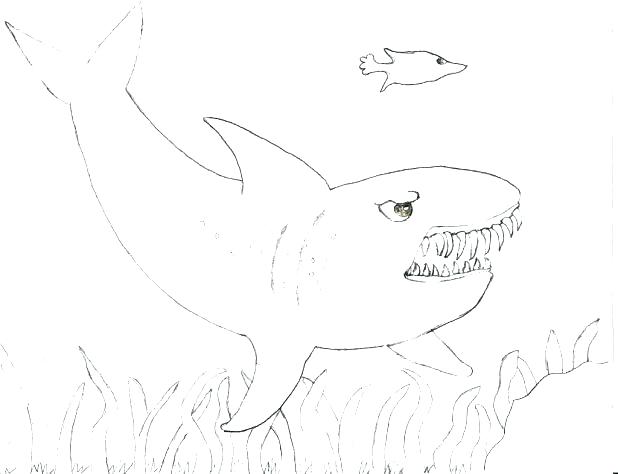 618x474 Hammerhead Shark Coloring Pages