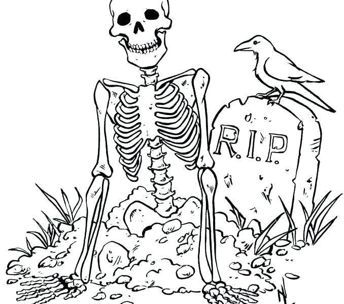 678x600 Skeleton Coloring Page Human Skeleton Coloring Page Skeleton