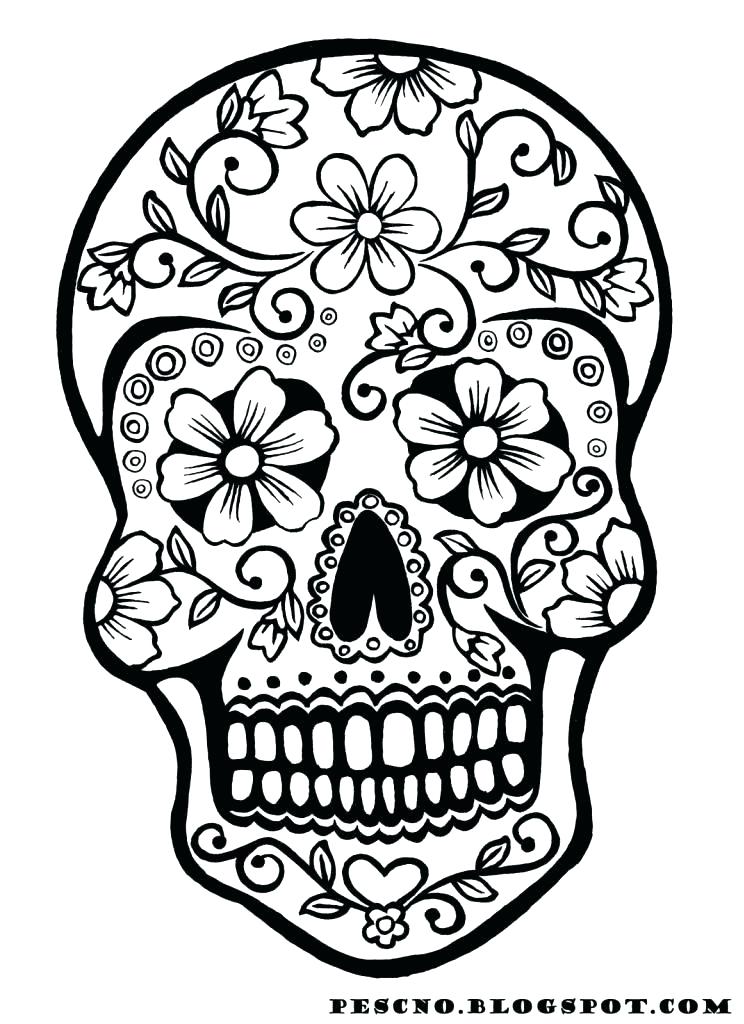 744x1024 Skeleton Head Coloring Pages Skeleton Coloring Page Skeletons