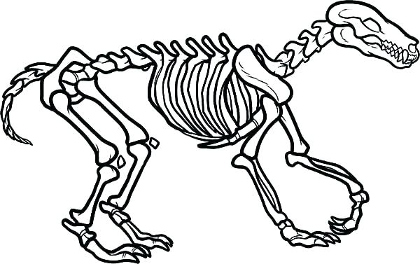 600x377 Dog Bone Coloring Page Jack Skeleton Coloring Pages Dog Bones