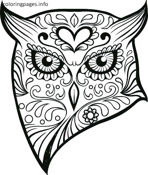 500x592 Free Skull Coloring Pages Free Skull Coloring Sheets