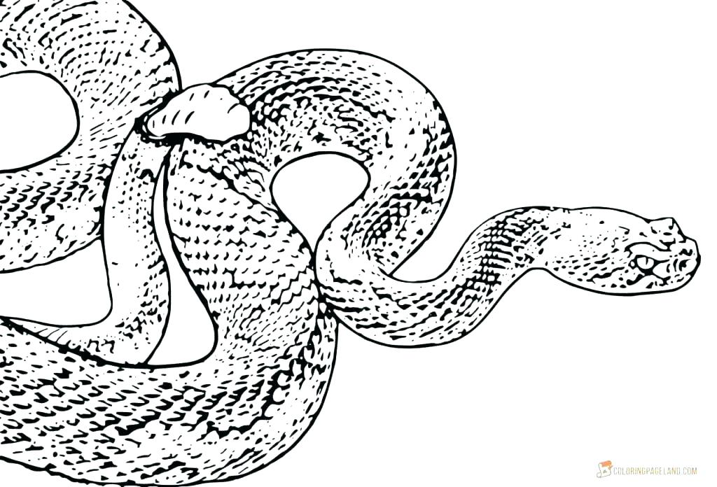 1024x696 Coloring Pages Snakes Coloring Page Snake Snakes Pages Book