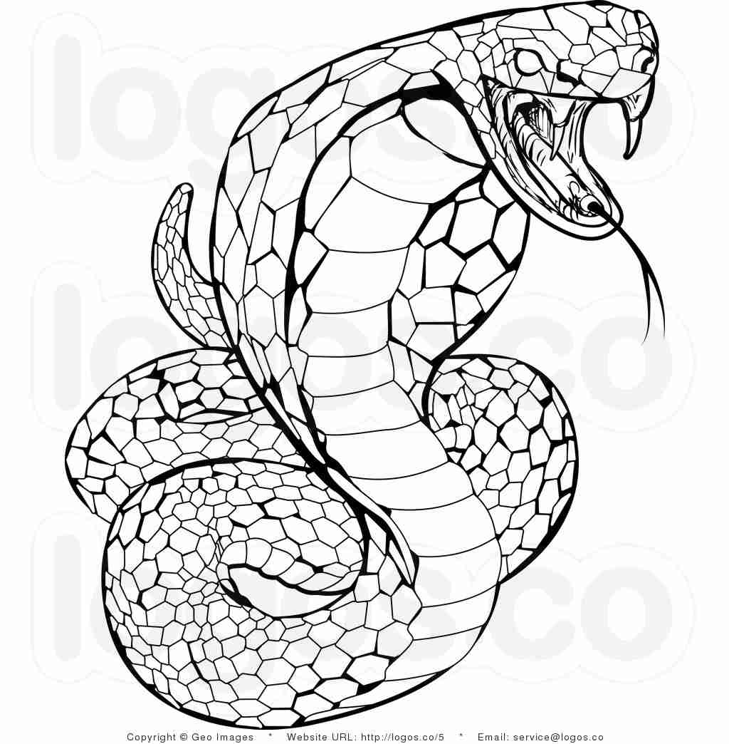 1024x1044 Plains Garter Snake Coloring Page Free Printable Pages Bright