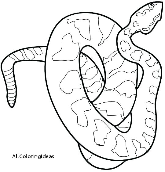 540x561 Rattlesnake Coloring Page Coloring Page Snake Rattlesnake Coloring