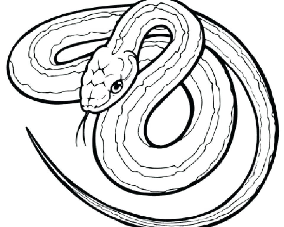 960x768 Snake Coloring Page Color Pages For Kids Coloring Striking Cobra