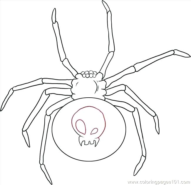 650x629 Free Spider Coloring Pages Pictures Of Spiders To Colour In Free