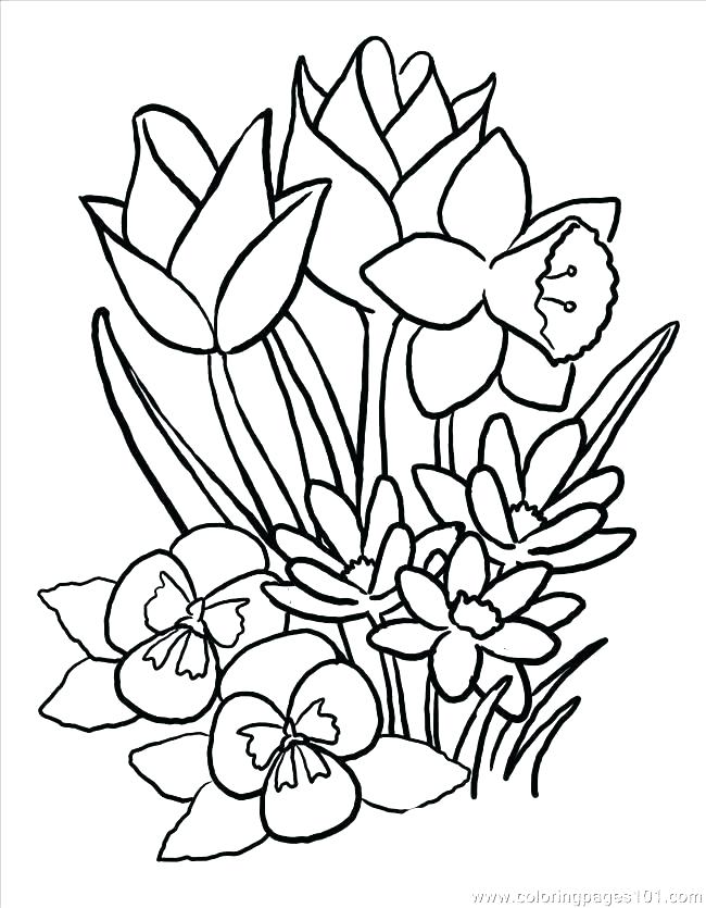 650x835 Simple Flower Coloring Pages Flower Coloring Pages Printable Free
