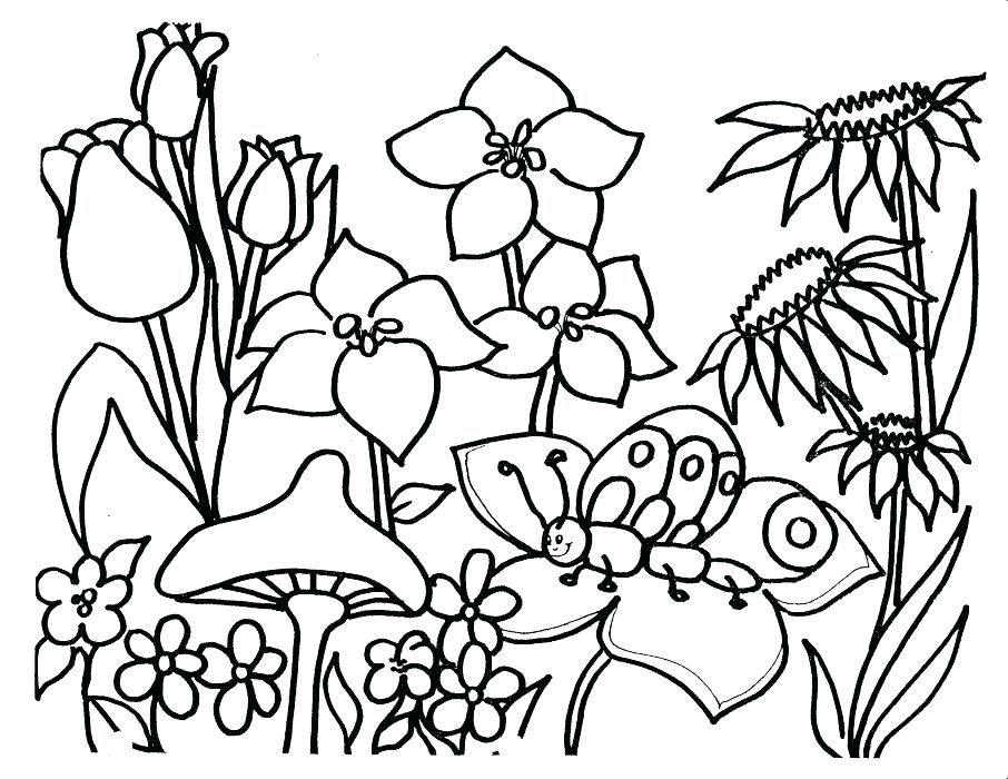 906x700 Spring Coloring Pages Free