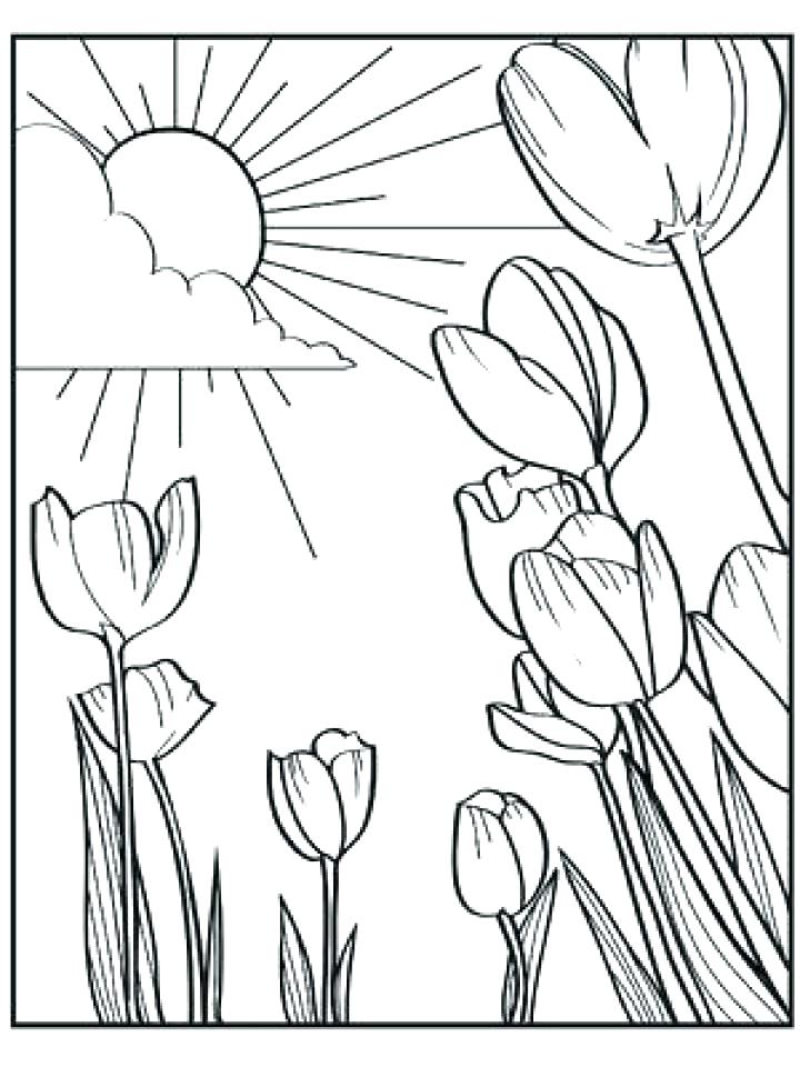 720x960 Spring Coloring Pages Free Spring Coloring Pages Free Colouring