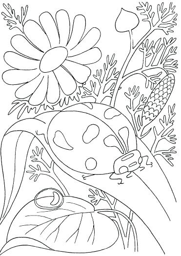 371x525 Spring Printable Coloring Pages Printable For Peaceful Design