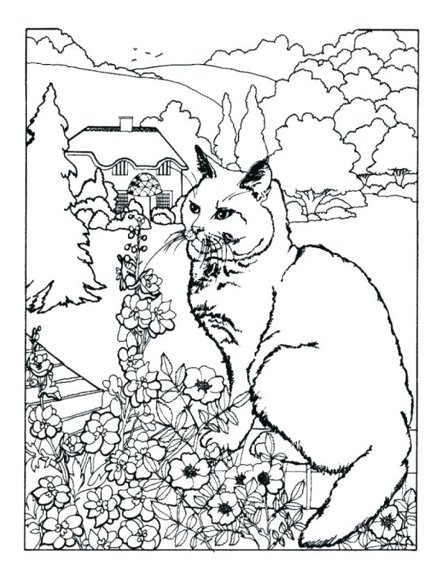 618x823 Free Printable Spring Coloring Pages Plus Spring Coloring Pages