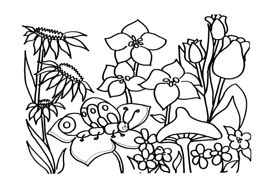 873x639 Spring Coloring Pages Printable Spring Coloring Pages For Kids