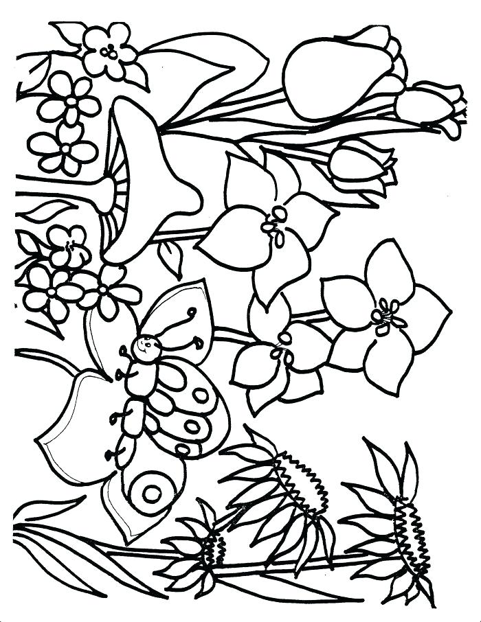 700x906 Free Spring Coloring Pages