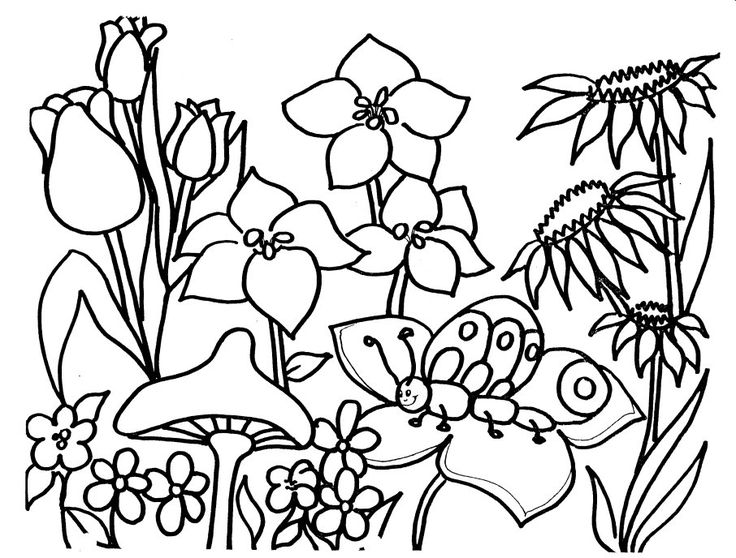 736x558 Best Spring Coloring Pages Ideas On Adult Color