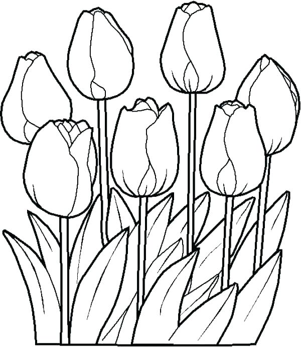 600x693 Printable Spring Coloring Sheets Springtime Coloring Pages Welcome