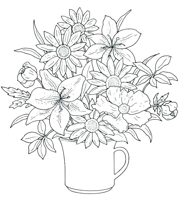 600x666 Spring Coloring Pages Free Picture Spring Colouring Pages Free