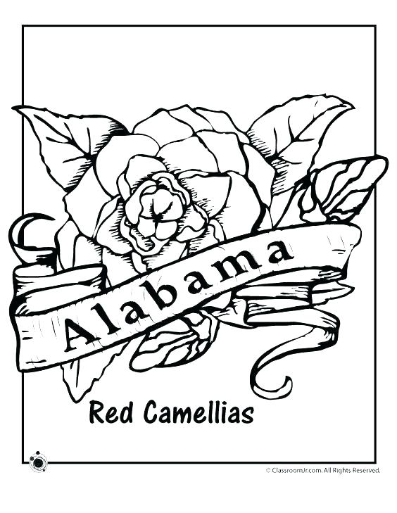 564x729 Ohio State Coloring Pages State Coloring Pages The Wildcat Free