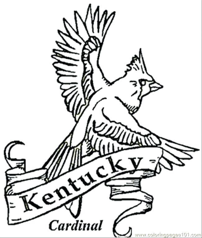 650x765 State Coloring Pages State Coloring Pages The Wildcat Free State