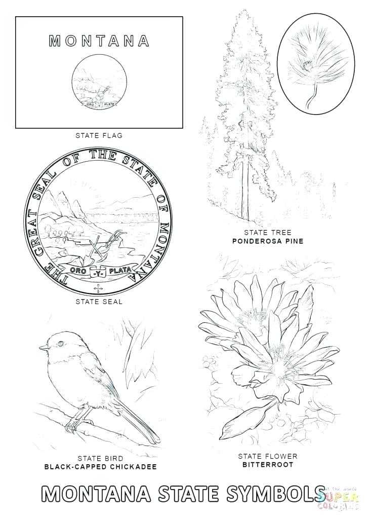 725x1024 Arkansas Coloring Pages Coloring Pages State Symbols Coloring