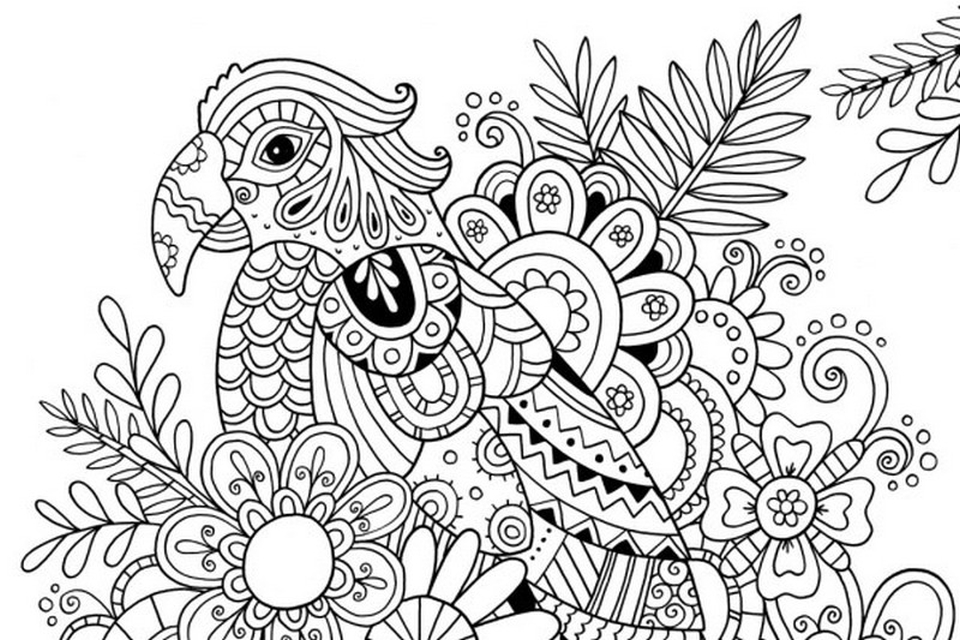 960x640 Summer Coloring Pages For Adults Free Printable Summer Coloring