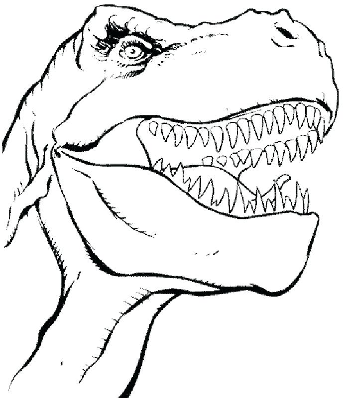 699x800 Free Dinosaur Coloring Pages T Rex Dinosaur Coloring Pages T