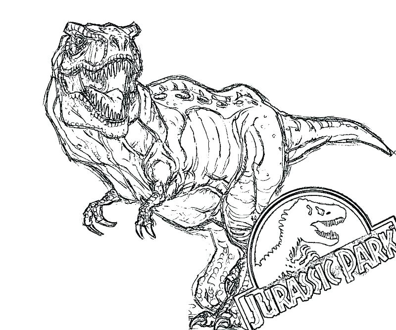 800x667 T Rex Color Page T Coloring Pages Packed With Park To Print Free