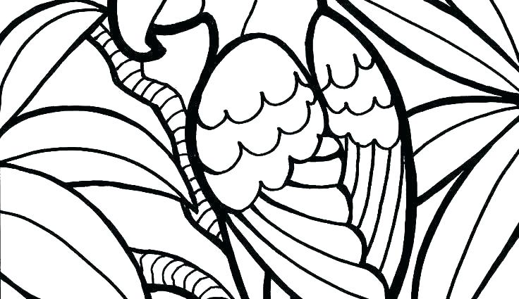 736x425 Free Printable Thanksgiving Coloring Pages For Preschoolers