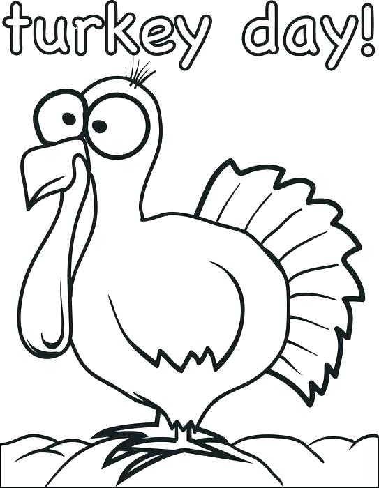 543x700 Thanksgiving Color Sheets Free Printable