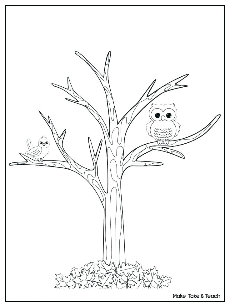 736x981 Tree Coloring Sheets Tree Coloring Sheets Fall Tree Coloring Page