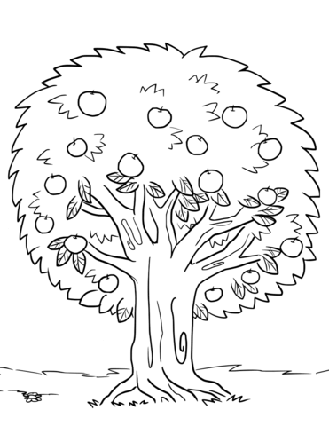 371x480 Apple Tree Coloring Page Apple Tree Coloring Page Free Printable