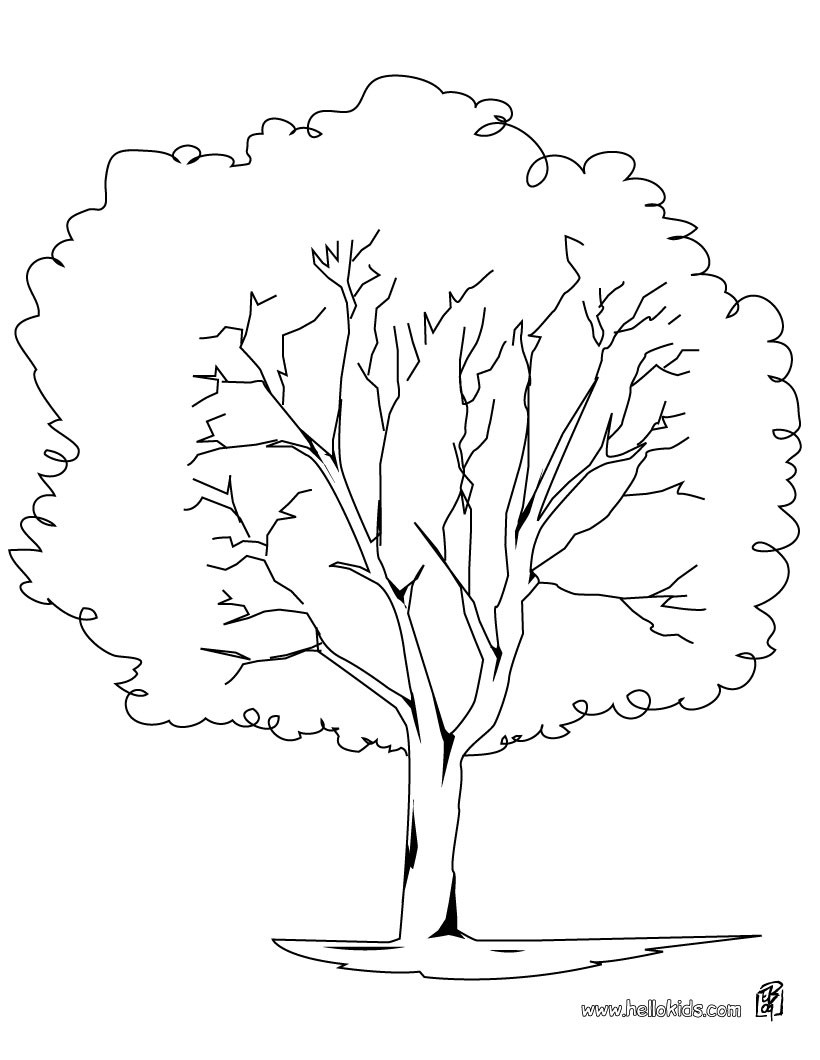 820x1060 Chestnut Tree Coloring Pages Free Coloring For Kids