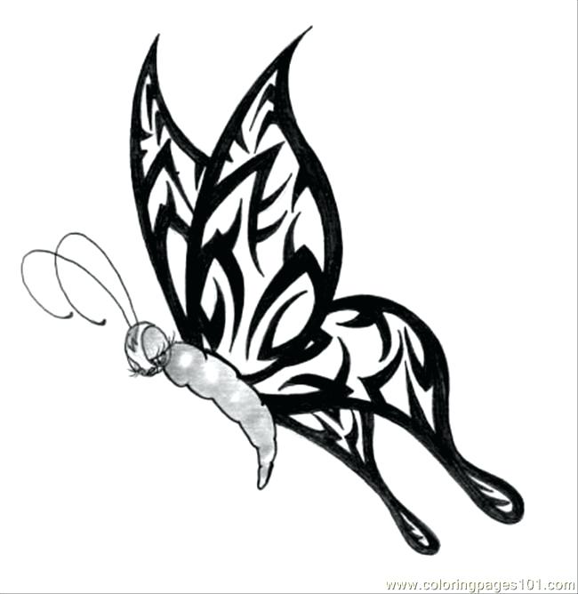 650x668 Tribal Print Animal Coloring Pages Butterfly Page Free