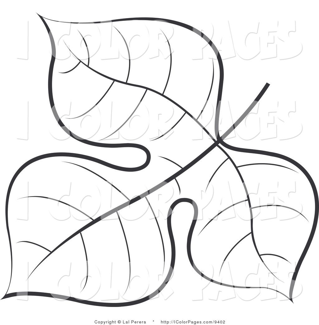 1024x1044 Coloring Book Of Leaves Vector Coloring Page Of A Black
