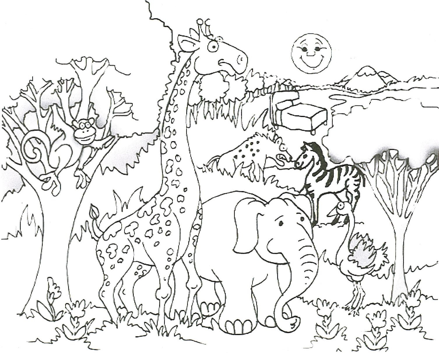 1506x1211 Safari Animals Coloring Pages