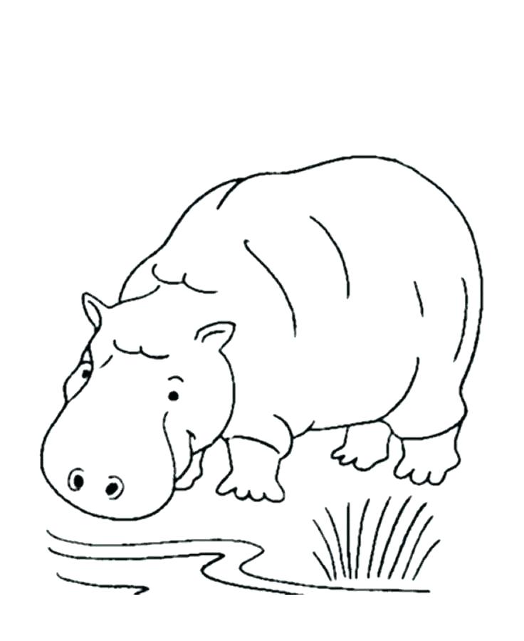 736x900 Wild Animals Coloring Pages Printable Wild Animals Coloring Pages