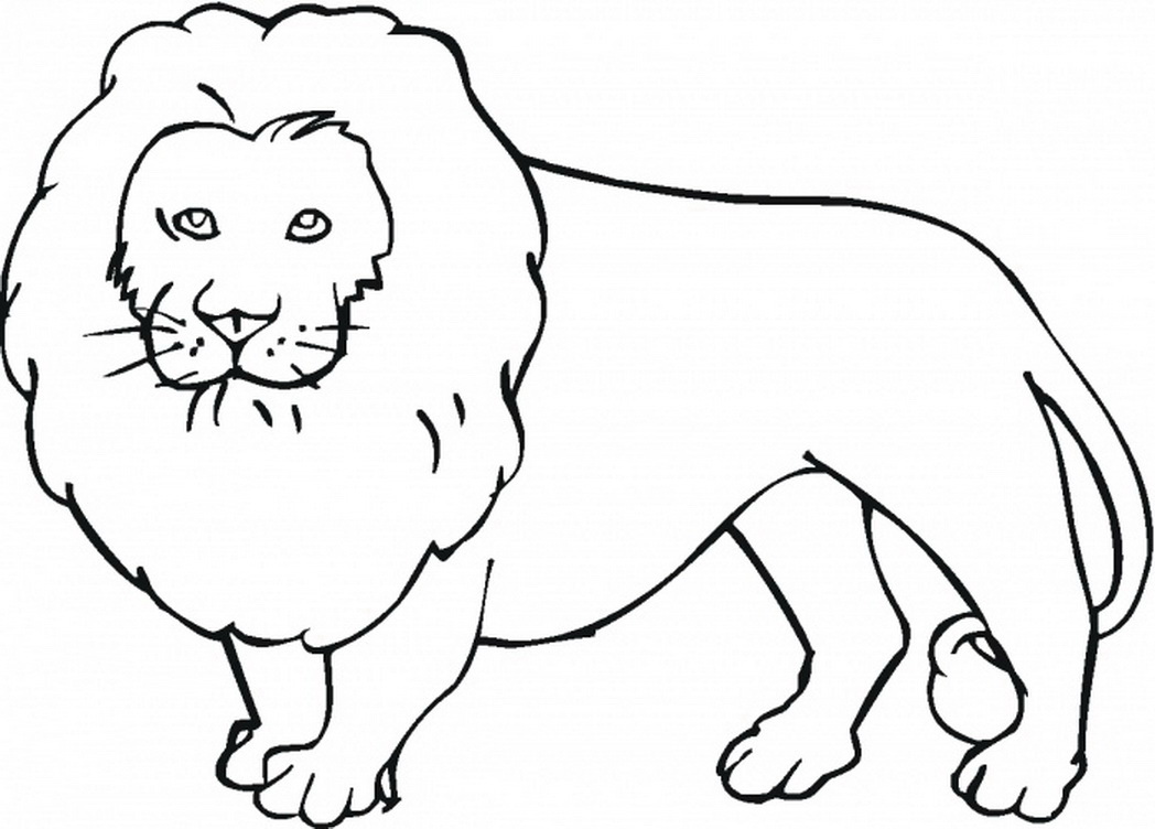 1048x752 Jungle Animals Coloring Pages With Wallpapers Jungle Animals