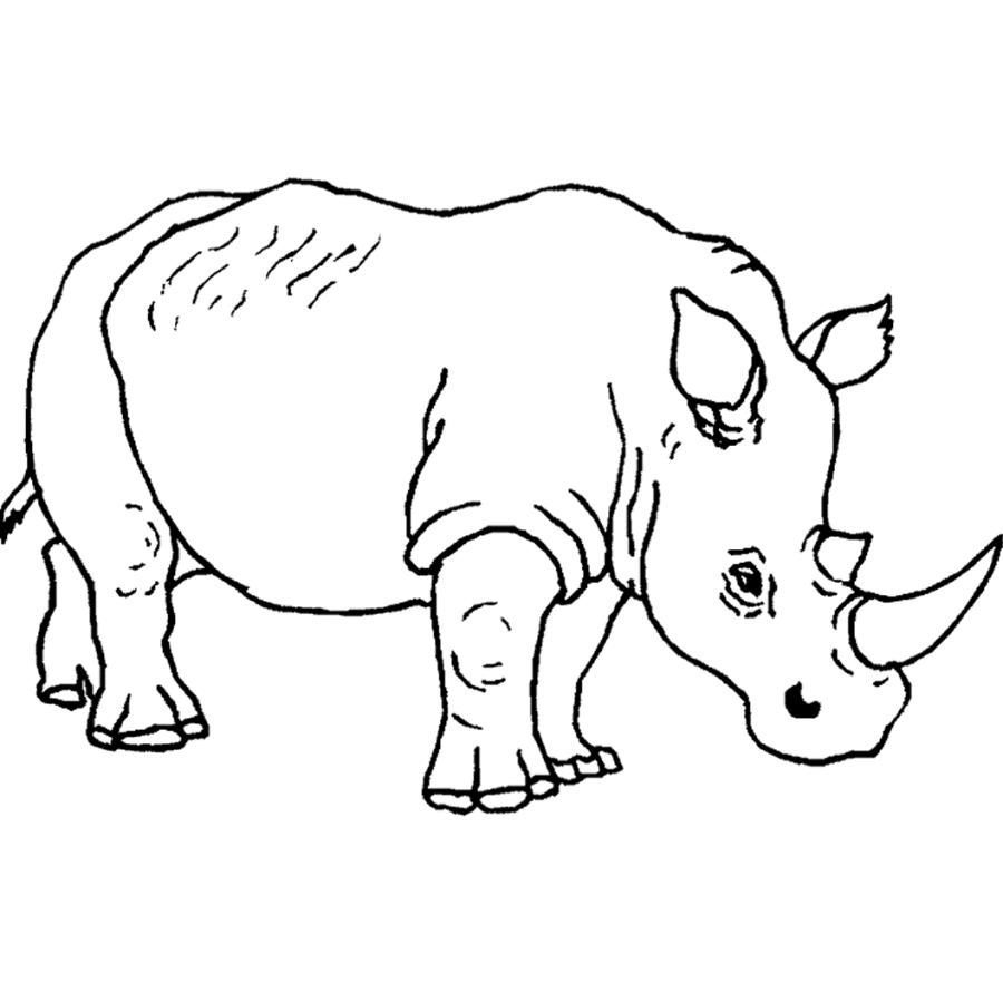 900x899 Best Of Beach Coloring Animals Animal Coloring Pages For Adults
