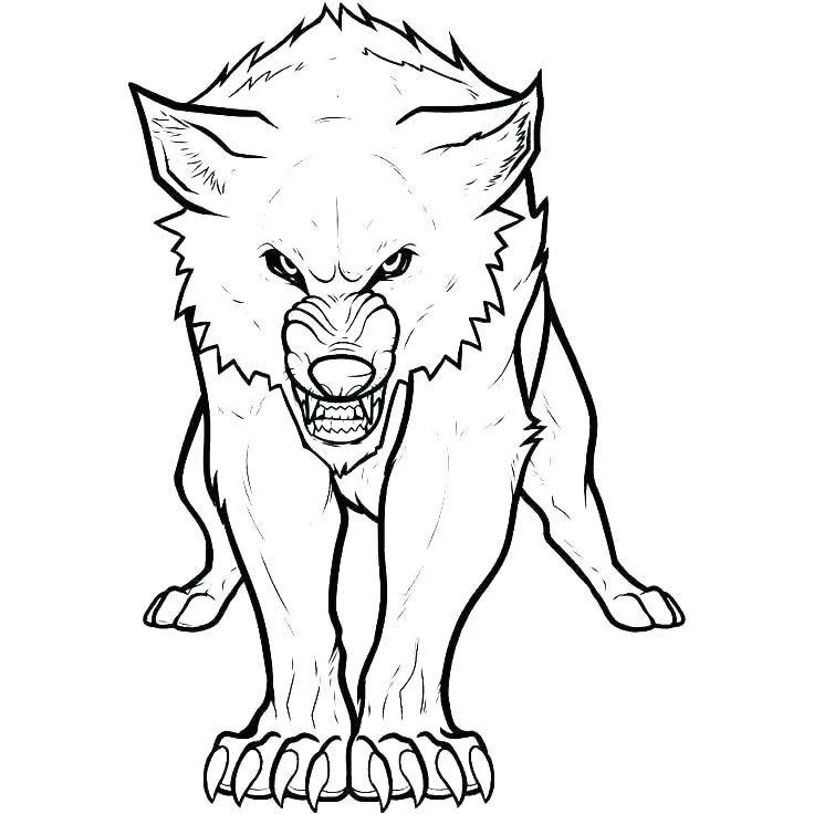 736x736 Wolf Coloring Book Coloring Page Wolf Wolf Coloring Book Together