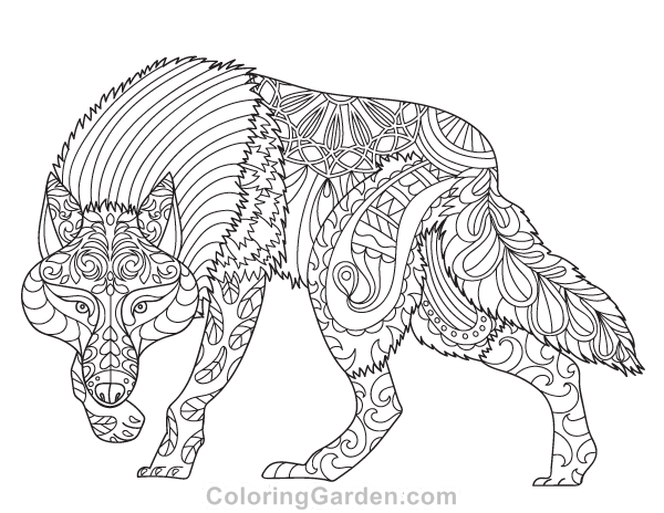 600x464 Free Printable Wolf Adult Coloring Page Download It In Pdf Format