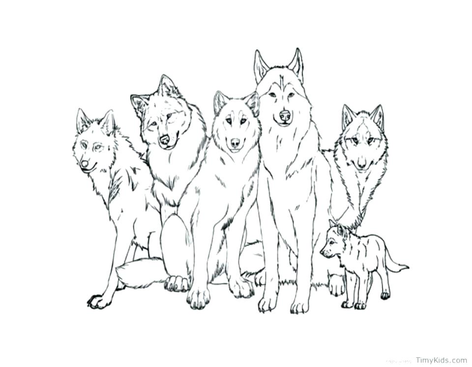 960x748 Coloring Pages Wolf Wolves Coloring Pages Wolf Coloring Pages Free