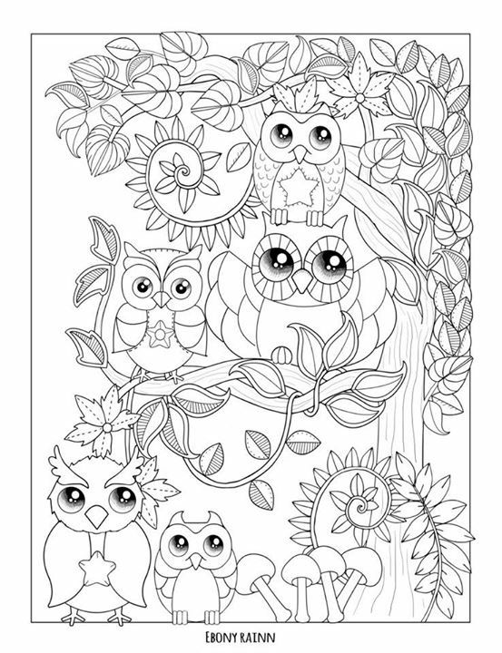 553x720 Best Owl Coloring Pages For Adults Images On Owls