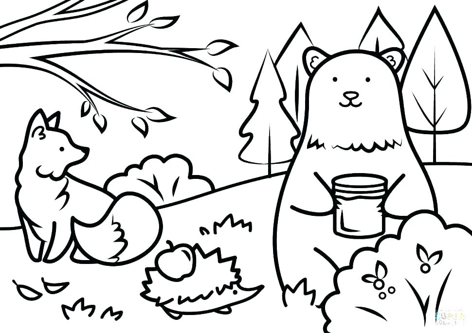 970x685 Zoo Animals Coloring Pages Animal Coloring Pages For Preschoolers
