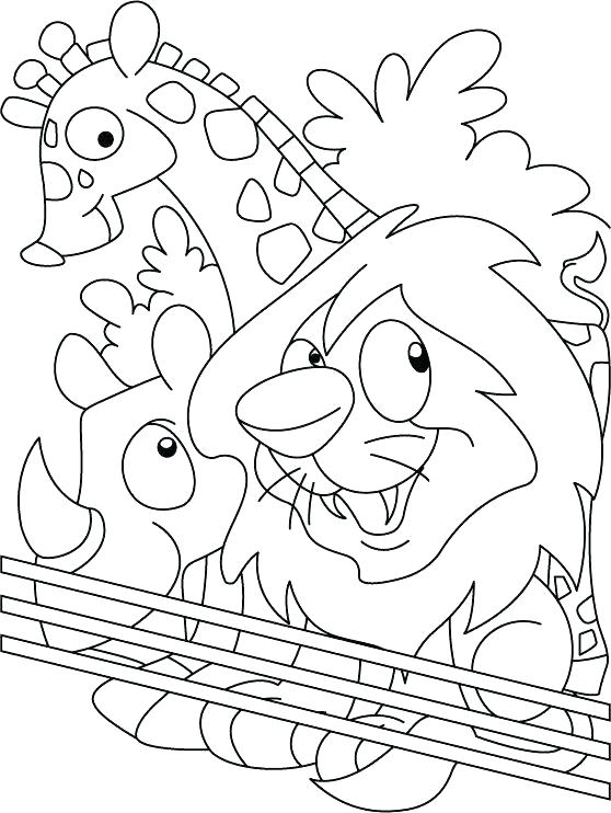 558x742 Zoo Coloring Page Download Free Zoo Coloring Page For Kids Cute