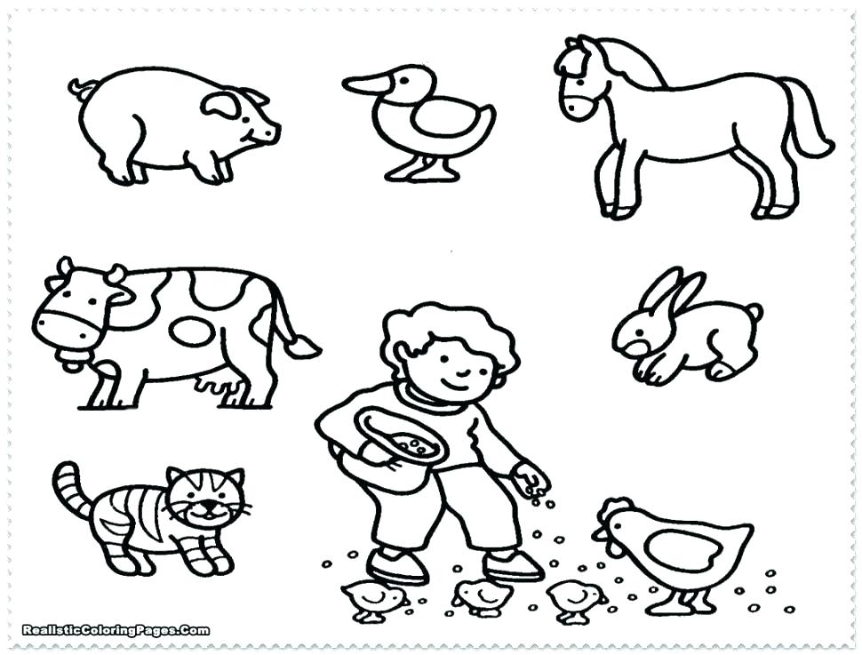 970x737 Coloring Pages Zoo Animals Zoo Coloring Pages Zoo Coloring Sheet